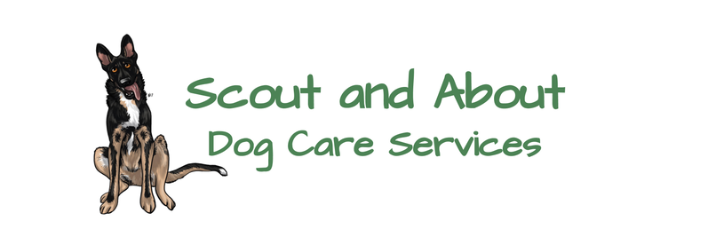 Scout and About Dog Care Services